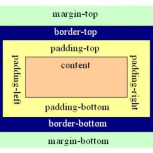 【HTML基础教程】9、CSS盒模型